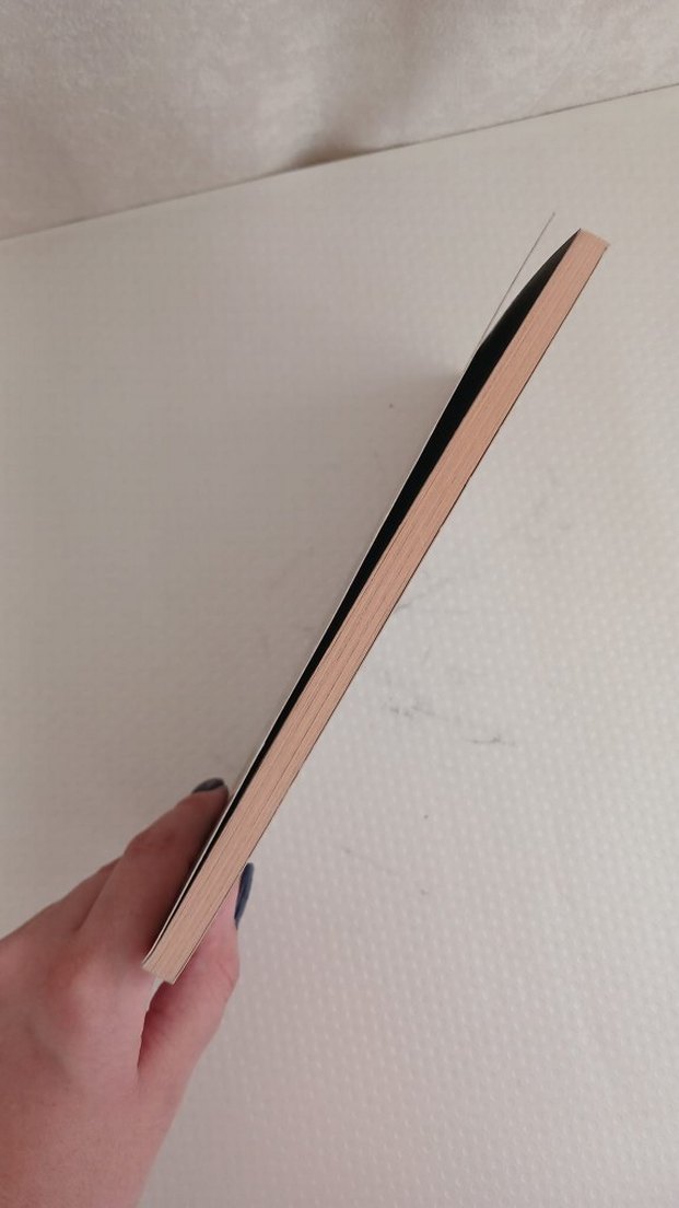 Dokuzuncu Hariciye Koğuşu - Peyami Safa - Görsel 3