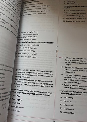20x24 AYT Türk Dili ve Edebiyatı Denemeleri Kitabı - Görsel 2