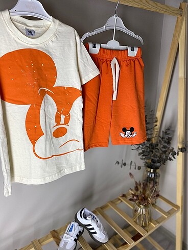 Zara Mickey Takım