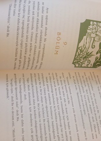 Beden Renk Dağın Ay'la Buluştuğu Yer - Grace Lin /Gençlik Romanı