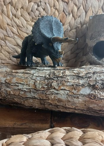 Koyu Gri Triceratops Aksiyon Figürü - Görsel 2