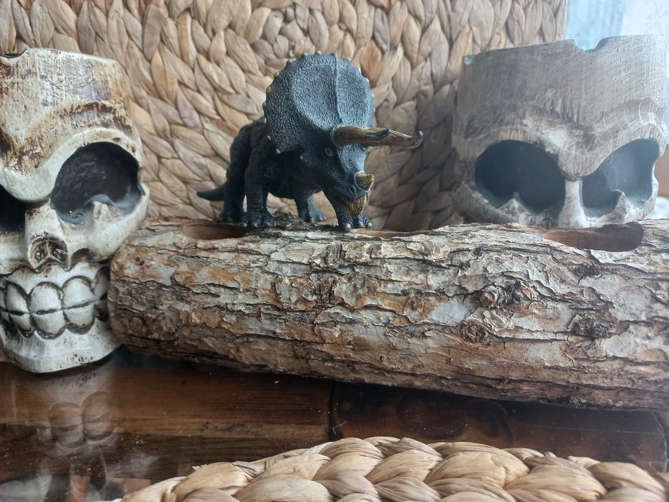 Koyu Gri Triceratops Aksiyon Figürü - Görsel 2