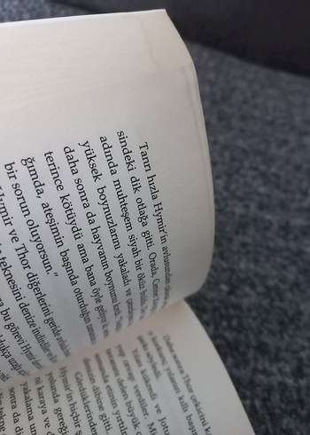 İskandinav Mitolojisi - Kevin Crossley-Holland - Görsel 4