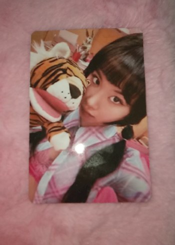 tek beden Beden Tiger chaeryoung(aciklamau)