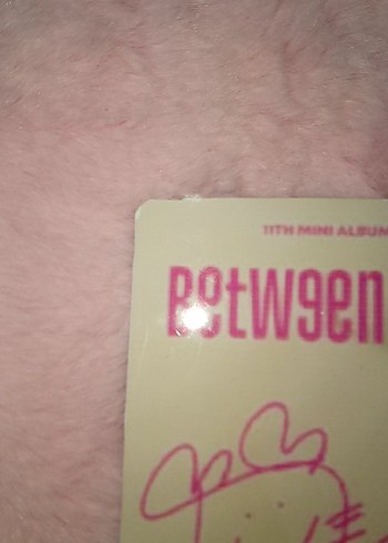  Beden momo orj pc(aciklamauu)
