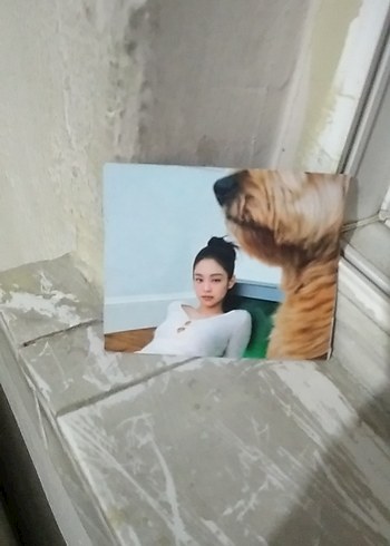 Zara JENNİE ARKALI ÖNLÜ FOTOKART 