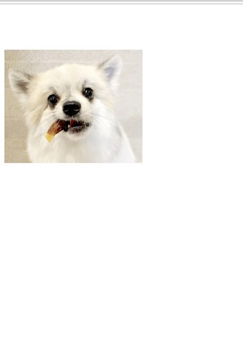 JoyPet Gerçek Etli Köpek Ödül Maması - Görsel 2