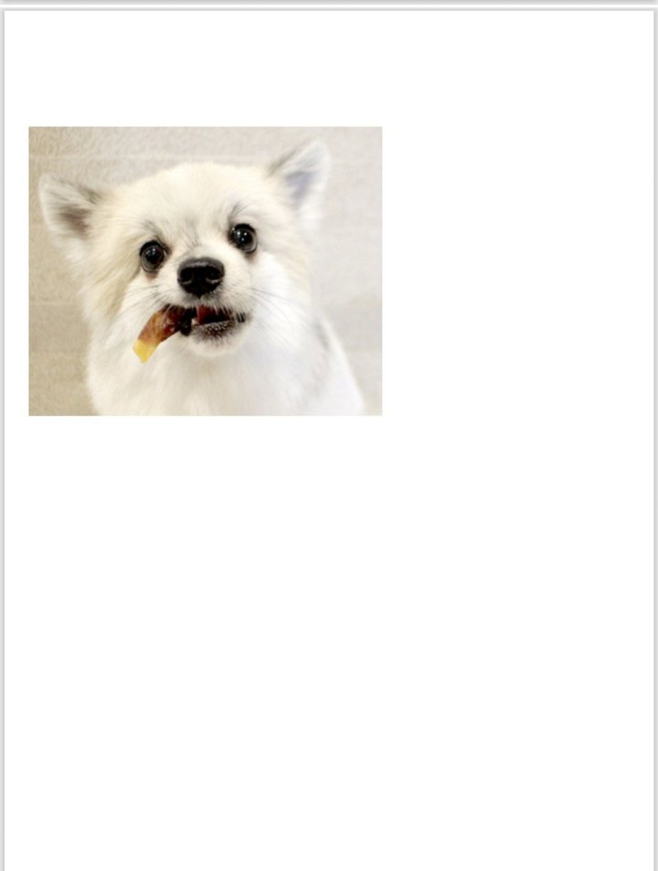 JoyPet Gerçek Etli Köpek Ödül Maması - Görsel 2