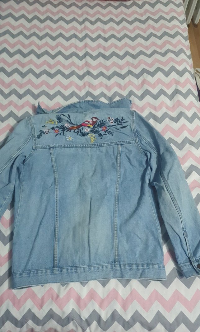 Nakışlı Mavi Kadın Denim Ceket - Görsel 2