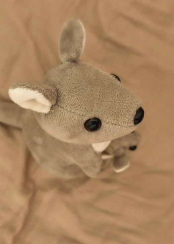 Kanguru Peluş Oyuncak - Görsel 5