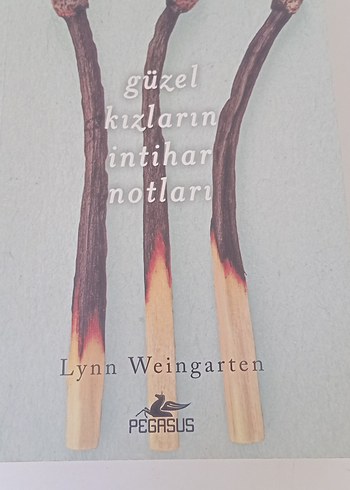  Güzel Kızların İntihar Notları - Lynn Weingarten