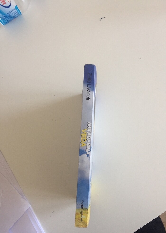 Atatürk kitabı - Görsel 3