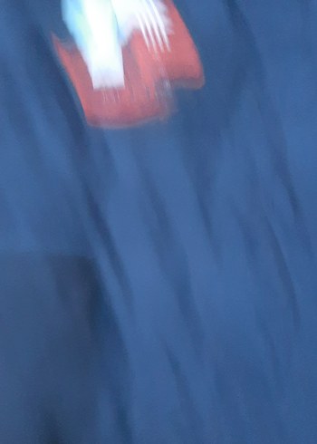 Erkek Çocuk Lacivert Fermuarlı Mont - Görsel 4