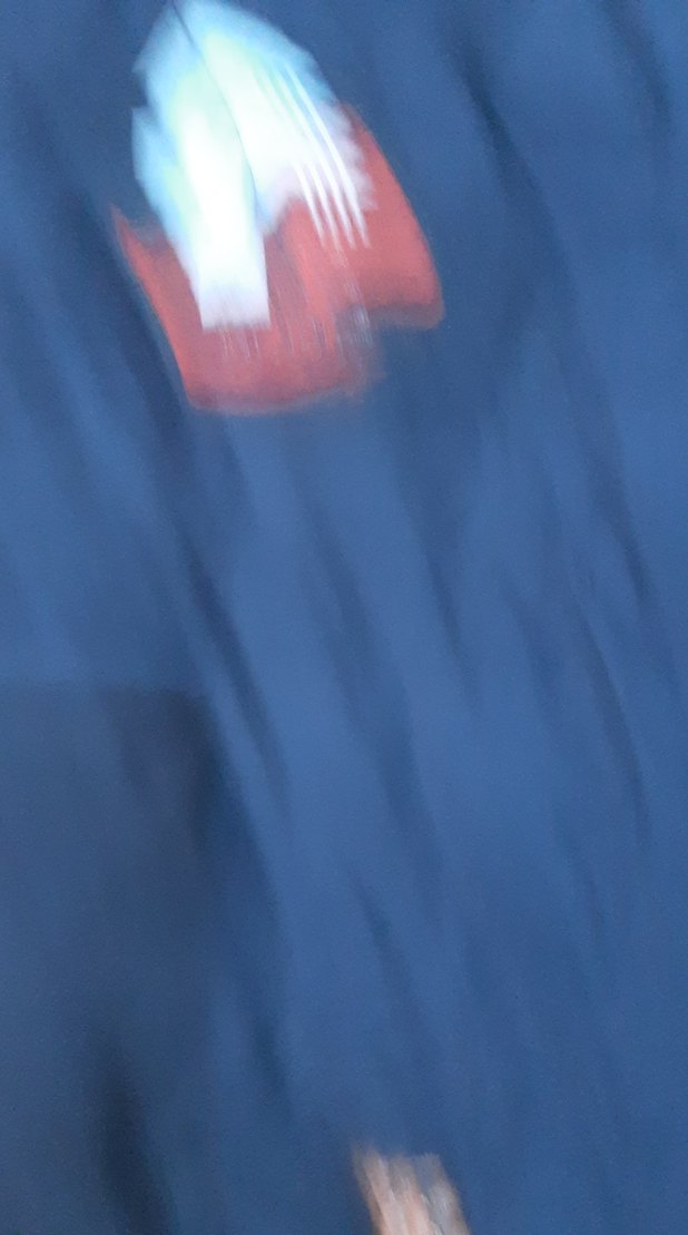 Erkek Çocuk Lacivert Fermuarlı Mont - Görsel 4