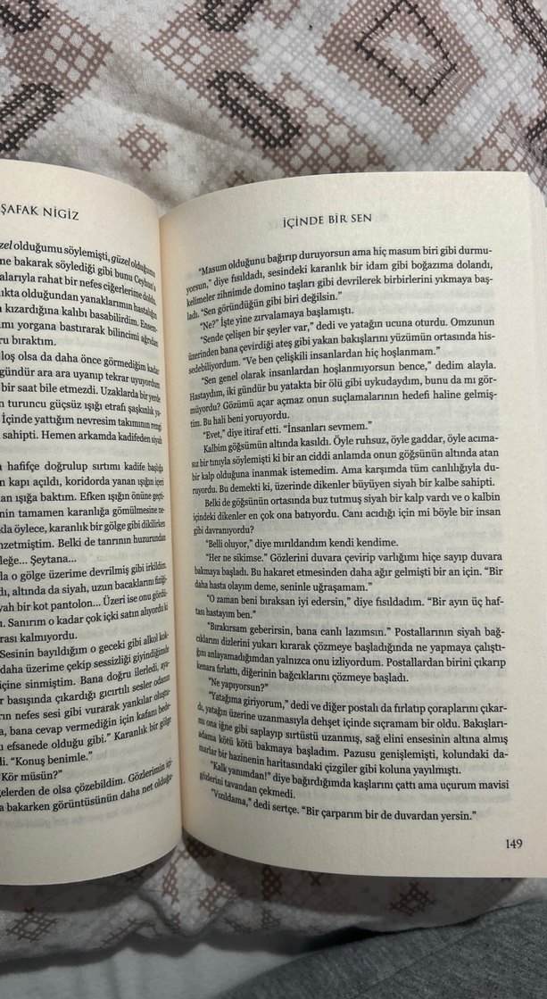 İçinde Bir Sen - Binnur Şafak Niğiz - Görsel 3