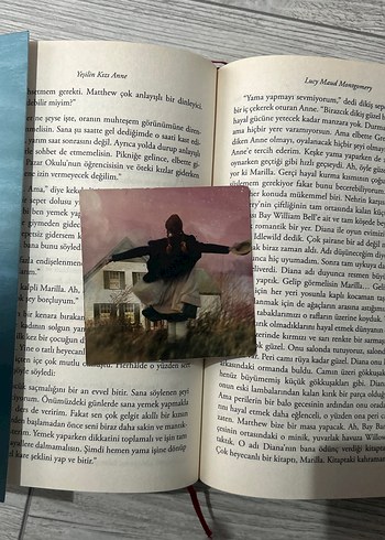 Yeşilin Kızı Anne - L.M. Montgomery - Görsel 3