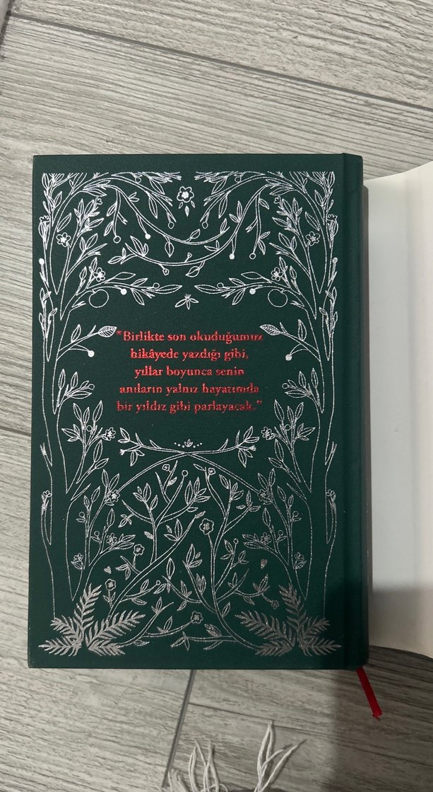 Yeşilin Kızı Anne - L.M. Montgomery - Görsel 4