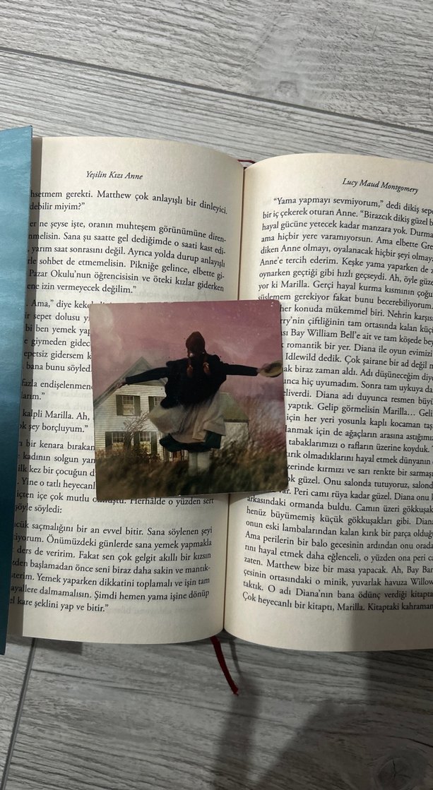 Yeşilin Kızı Anne - L.M. Montgomery - Görsel 3