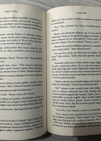 Halef Düş - Aleman Veli - Görsel 3