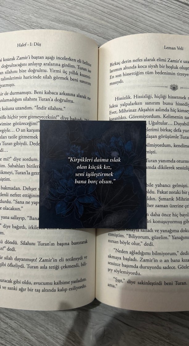 Halef Düş - Aleman Veli - Görsel 4