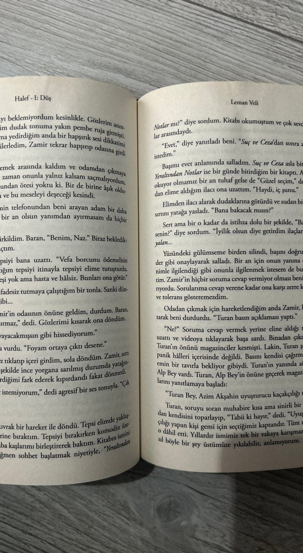 Halef Düş - Aleman Veli - Görsel 3