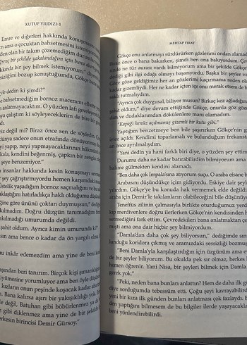 Kutup Yıldızı - Mehtap Fırat - Görsel 2