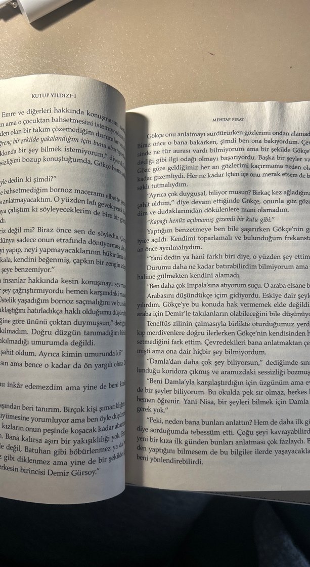 Kutup Yıldızı - Mehtap Fırat - Görsel 2