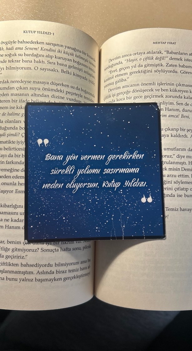 Kutup Yıldızı - Mehtap Fırat - Görsel 3