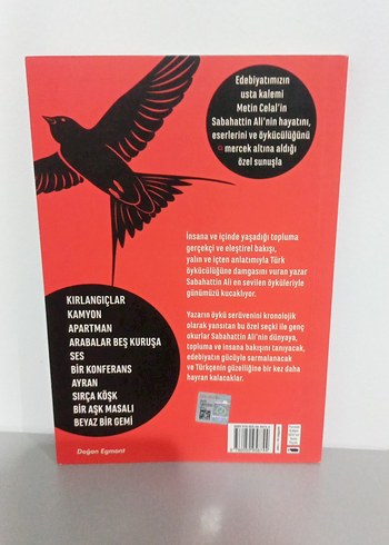 Kırlangıçlar - Sabahattin Ali - Görsel 2