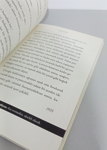 Kırlangıçlar - Sabahattin Ali - Görsel 6