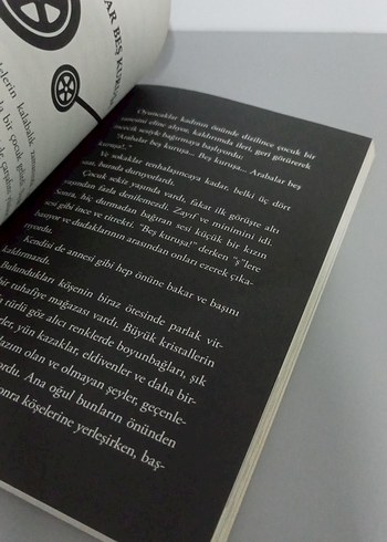 Kırlangıçlar - Sabahattin Ali - Görsel 5