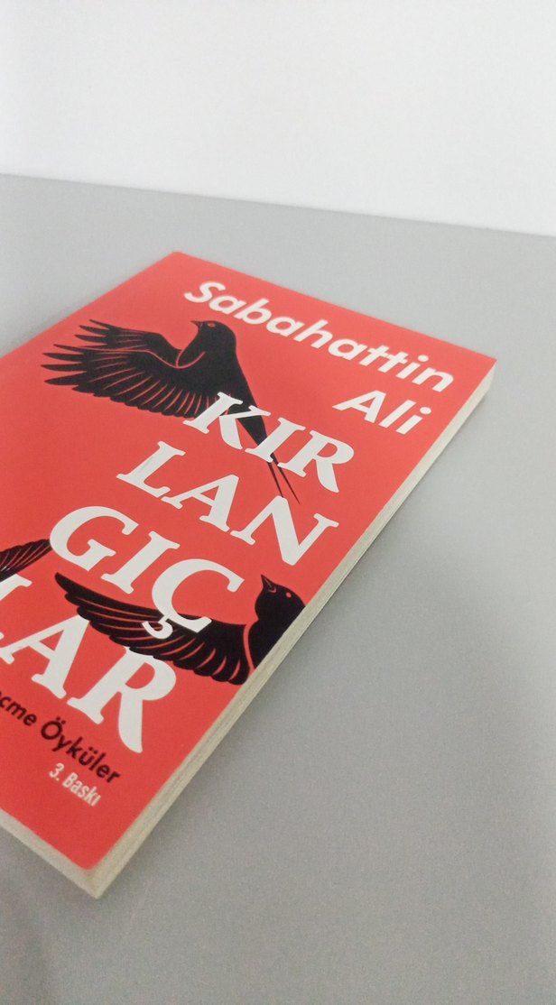 Kırlangıçlar - Sabahattin Ali - Görsel 4