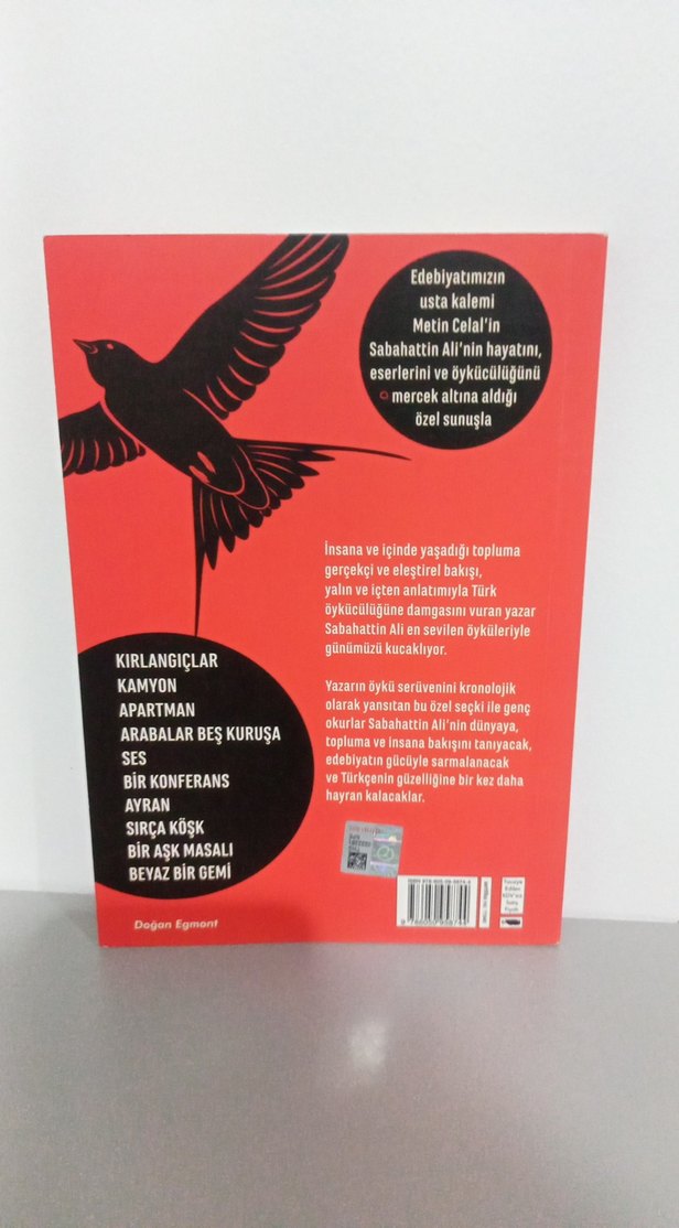Kırlangıçlar - Sabahattin Ali - Görsel 2