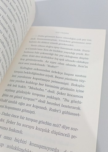 Yüz Tavşan - Selen Gezer - Görsel 6