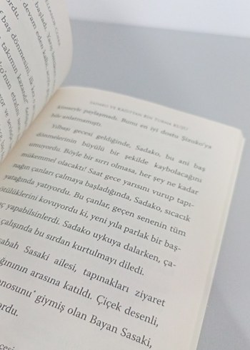 Sadako ve Kağıttan Bin Turna Kuşu - Eleanor Coerr - Görsel 7