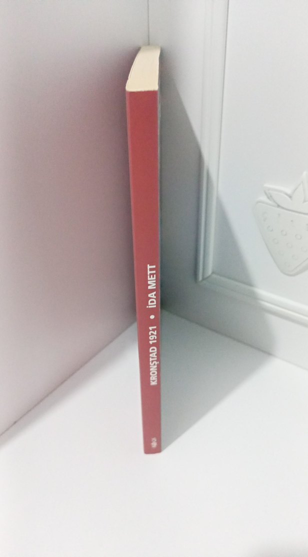 Ida Mett - Kronstad 1921 Sanat Kitabı - Görsel 3
