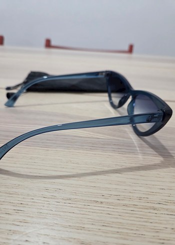 WWF Şeffaf Koyu Mavi Kadın Gözlüğü - Görsel 2