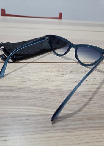 WWF Şeffaf Koyu Mavi Kadın Gözlüğü - Görsel 4