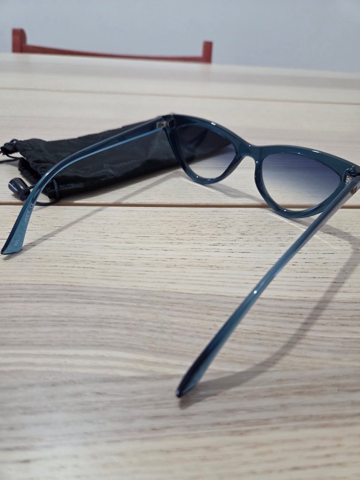 WWF Şeffaf Koyu Mavi Kadın Gözlüğü - Görsel 4