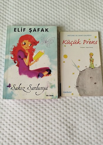 Elif Şafak ve Küçük Prens Çocuk Kitapları