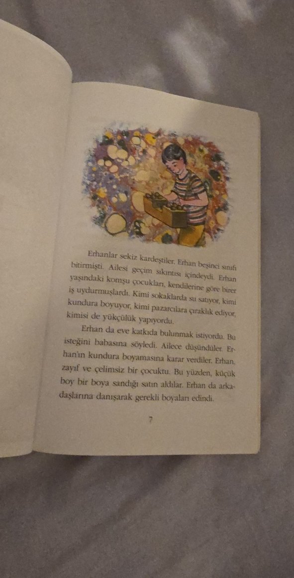 Sahibini Arayan Keman ve Neşeli Boyacı Çocuk Kitapları - Görsel 4