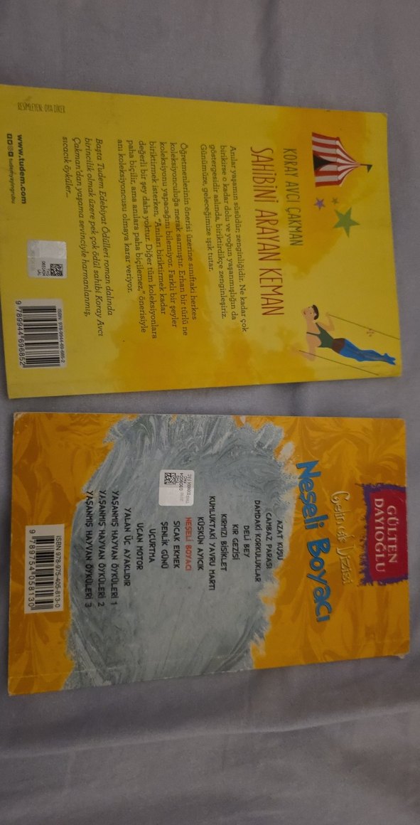 Sahibini Arayan Keman ve Neşeli Boyacı Çocuk Kitapları - Görsel 2