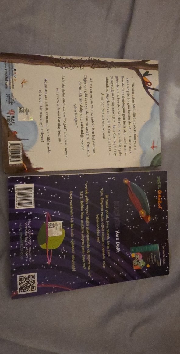 Adını Arayan Aslan & Uzayın Sırrı Çocuk Kitapları - Görsel 2