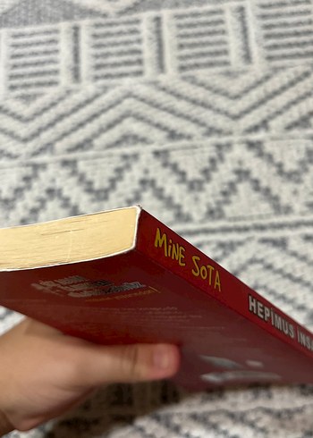 Hepimus Insanus - Mine Sota Mizah Kitabı - Görsel 4