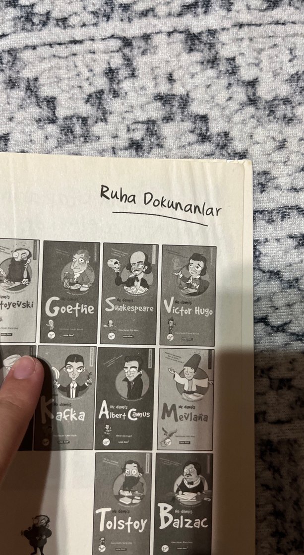 Hepimus Insanus - Mine Sota Mizah Kitabı - Görsel 5