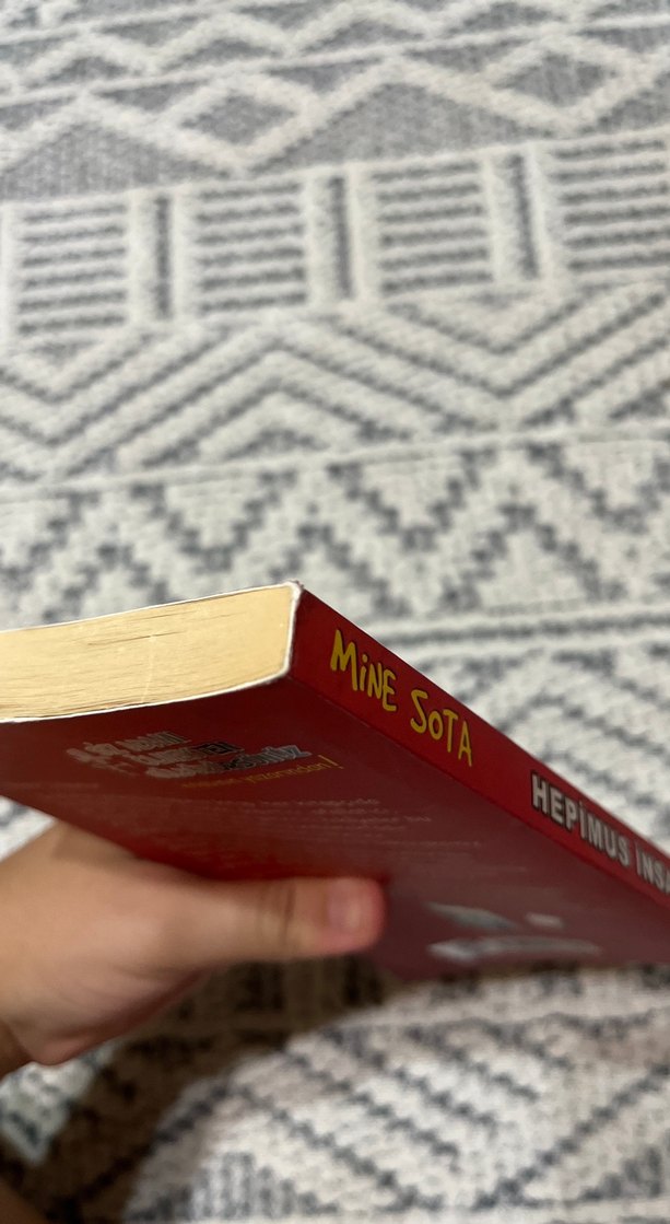 Hepimus Insanus - Mine Sota Mizah Kitabı - Görsel 4