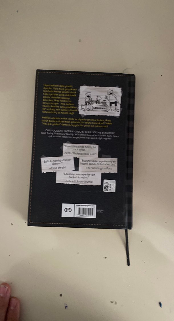 Saftirik Greg'in Günlüğü - Hey Gidi Günler - Görsel 2