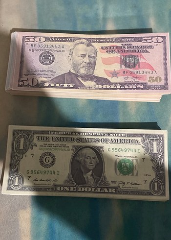 Çok Renkli Sahte Dolar Seti