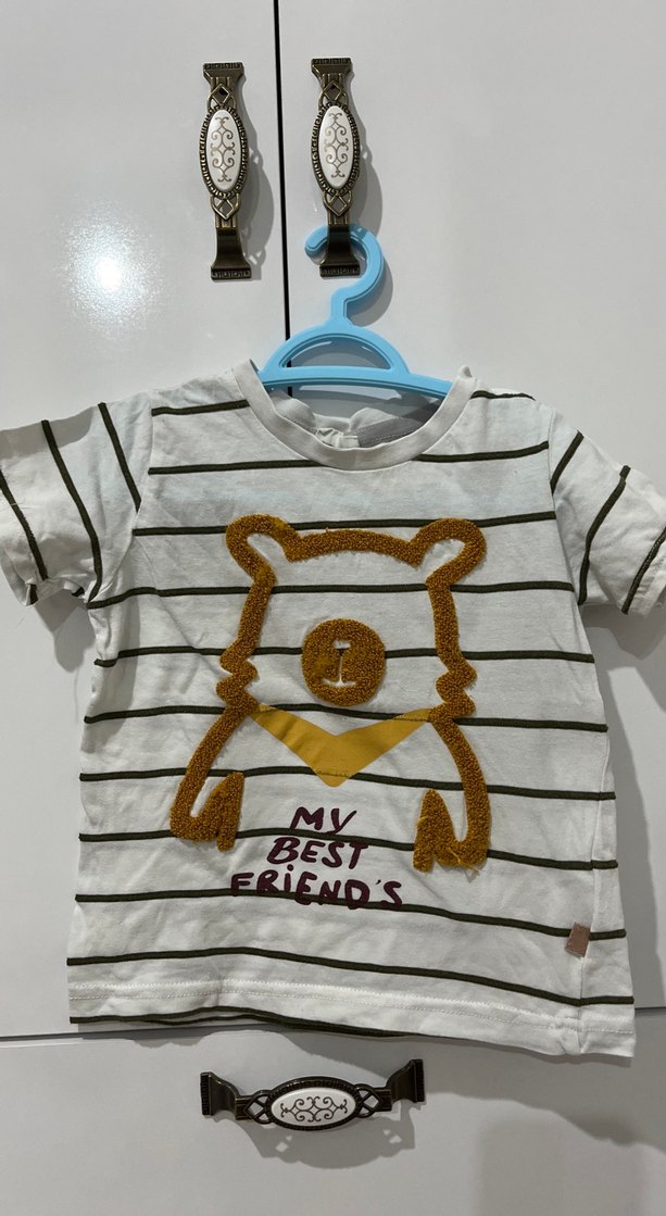 Erkek Çocuk Beyaz Çizgili Ayı Baskılı Tişört salopet takım - Görsel 2
