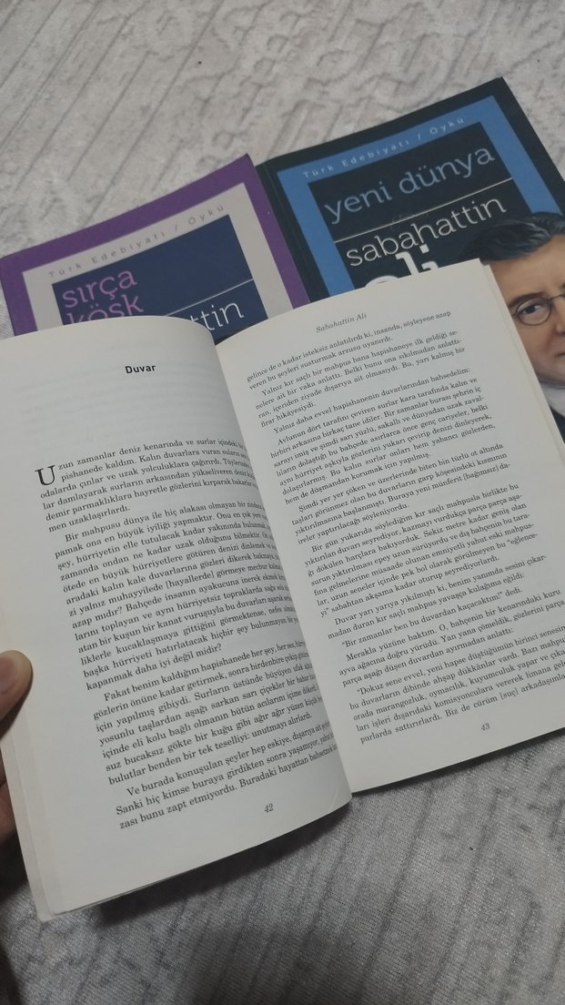 Sabahattin Ali 5 Kitap - Görsel 2